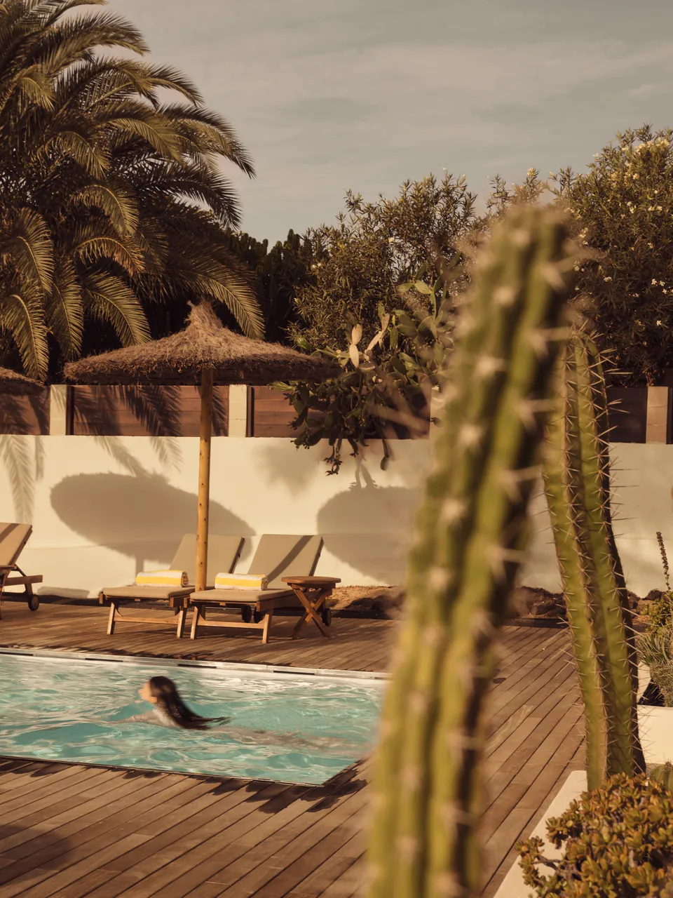 Swimmer in a pool framed by cactus, palms and a thatched parasol