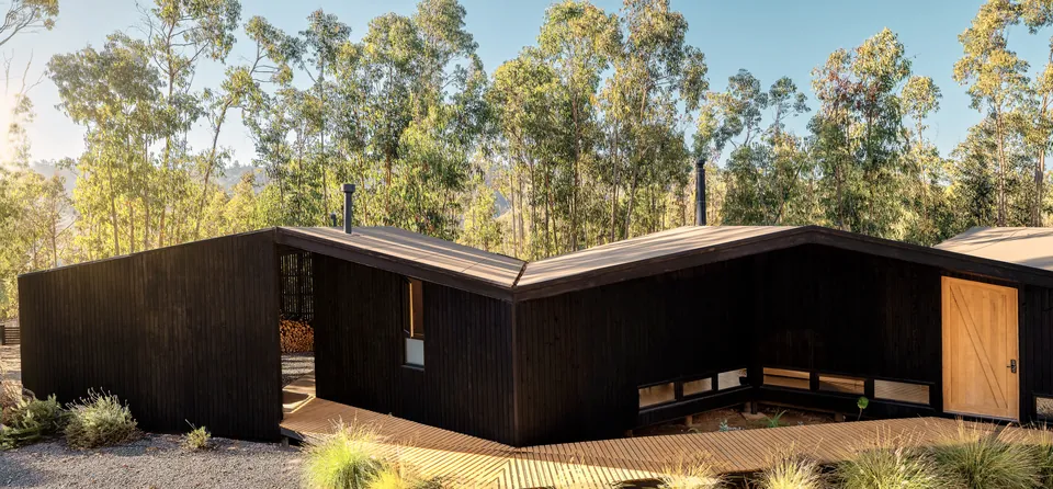 Black timber cabins in a eucalyptus clearing