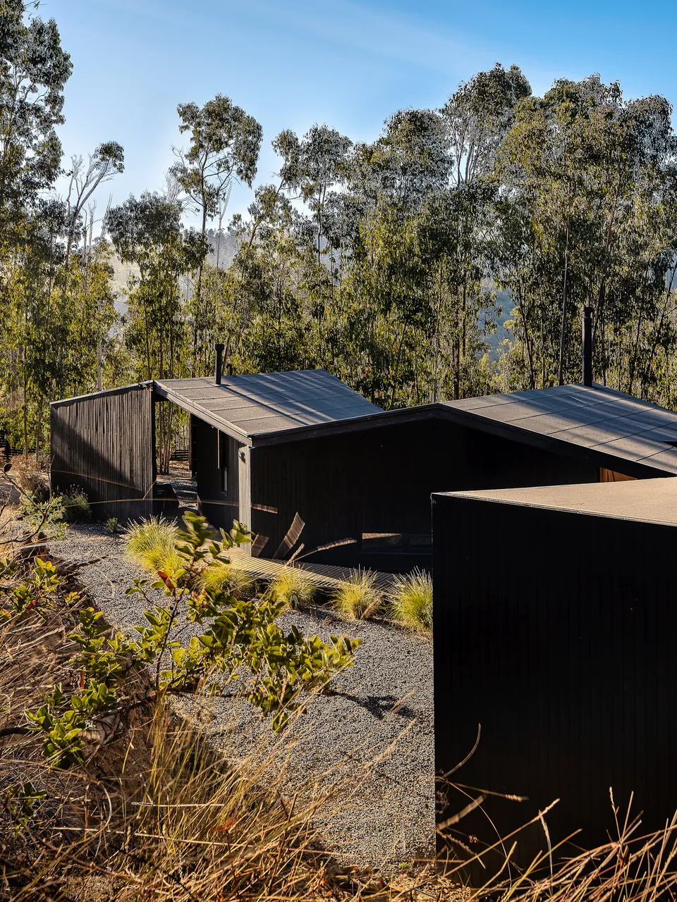 Black cabins among eucalyptus on a hillside