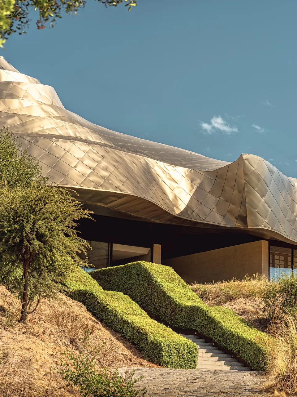 Undulating metallic roof above a stepped green garden