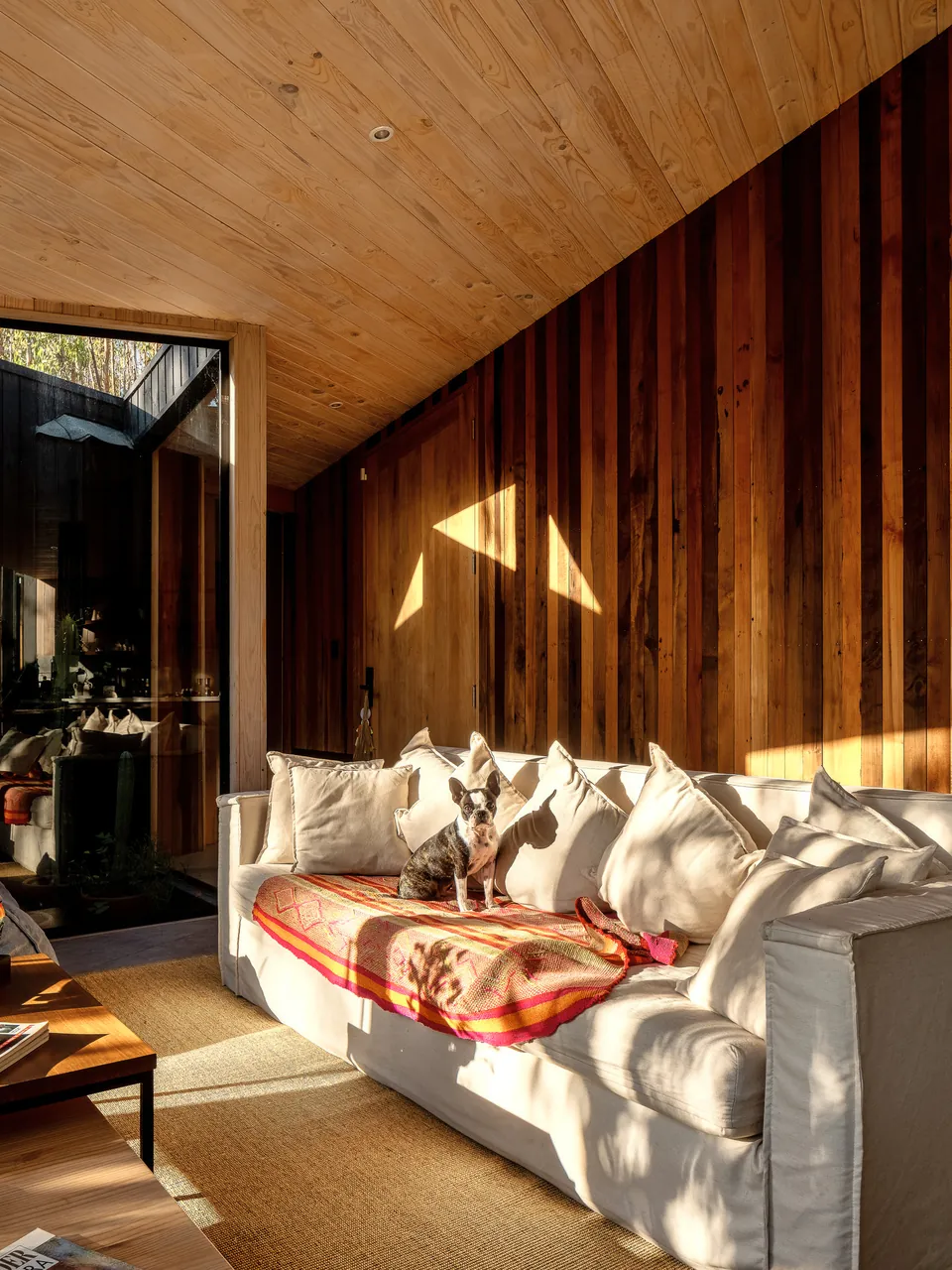 Timber-clad living room, a dog asleep on the sofa
