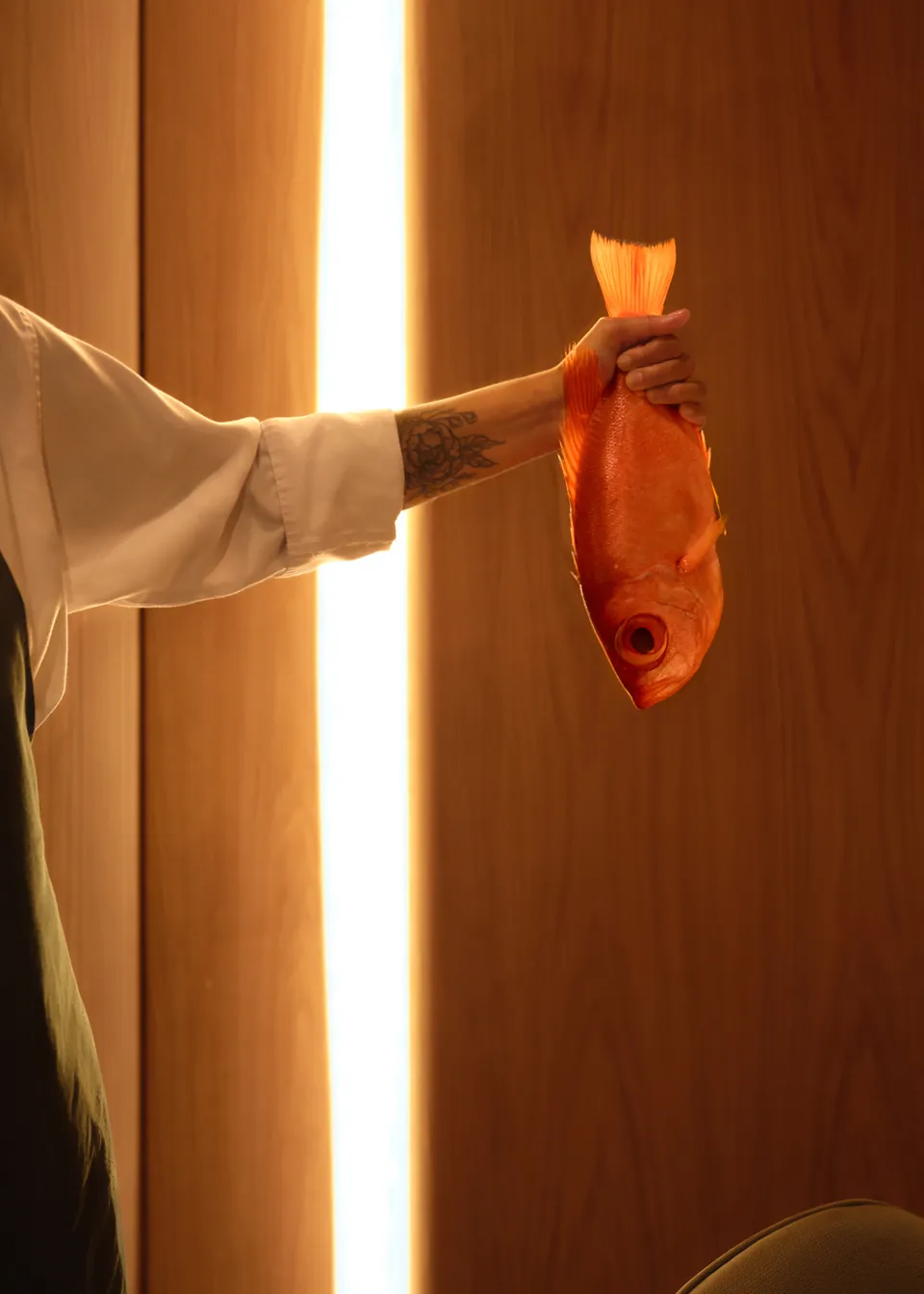A hand holding a red fish beside a lit timber slot